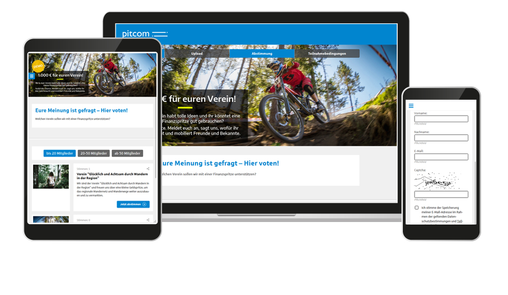Online Voting Ansicht